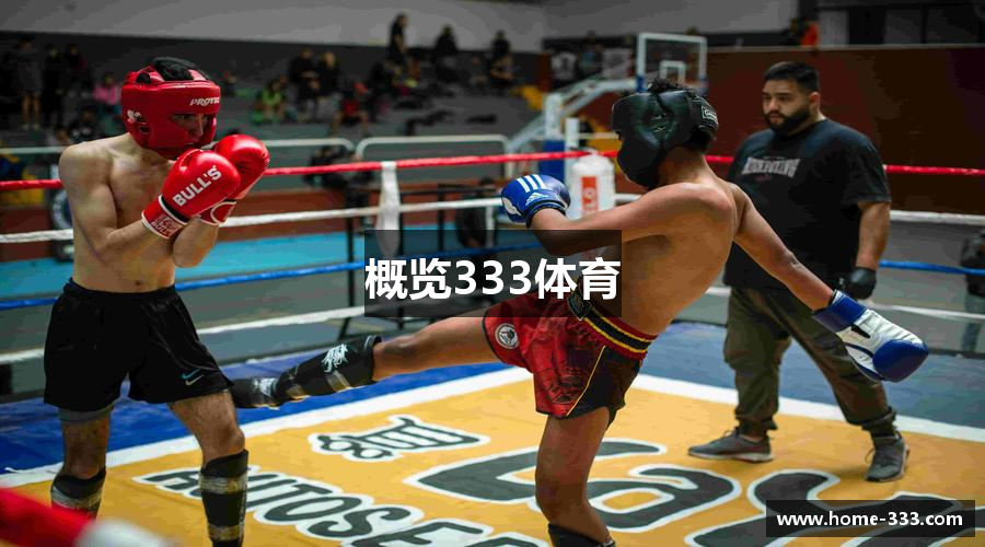 概览333体育